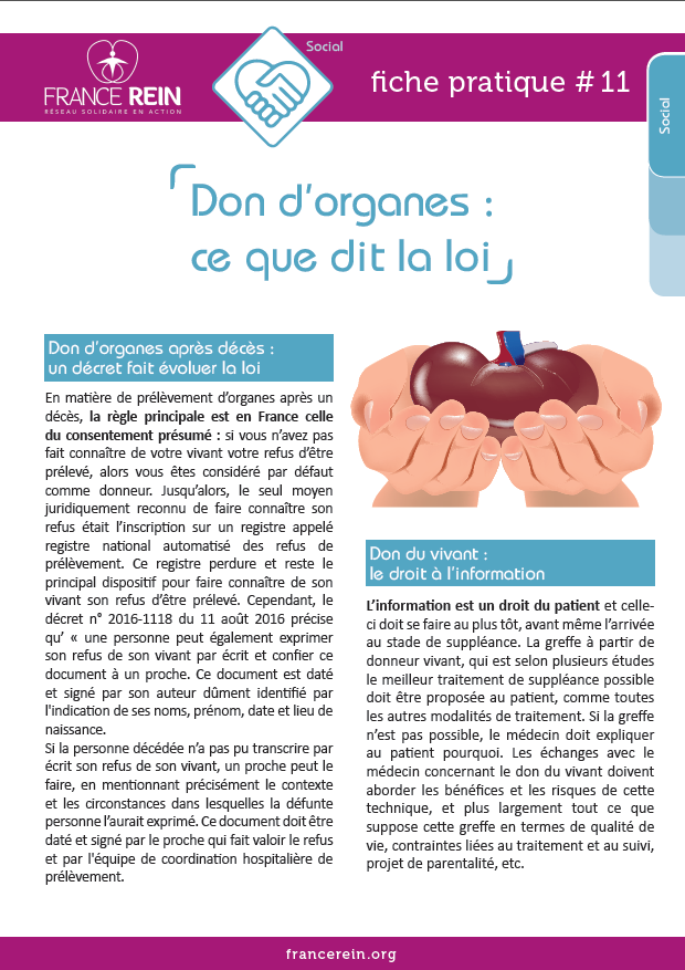 Fiche pratique France Rein #11 - Don d'organes ce que dit la loi
