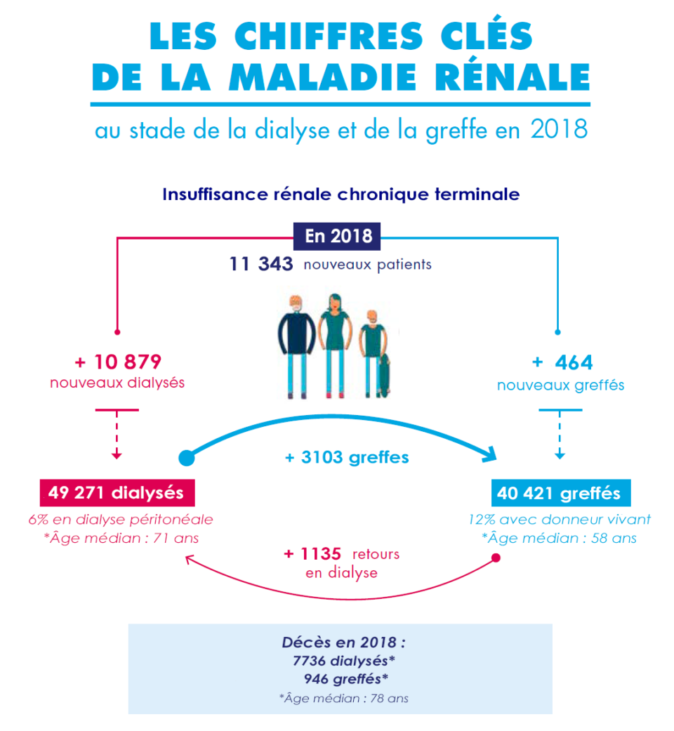 2018 chiffres clès de la maladie rénale