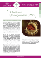 Fiche pratique France Rein #37 - L'infection à cytomégalovirus (CMV)