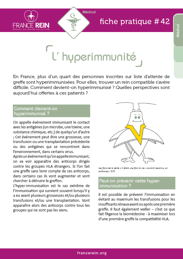 Fiche pratique France Rein #42 - L'hyperimmunité