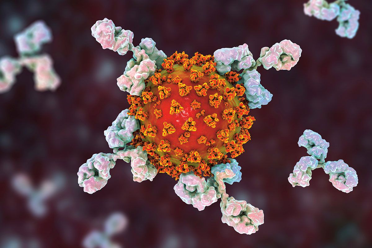 Remicade anticorps monoclonal