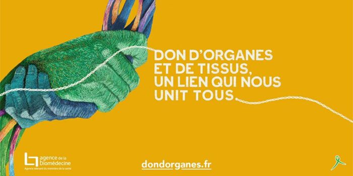 Actualité don d'organes