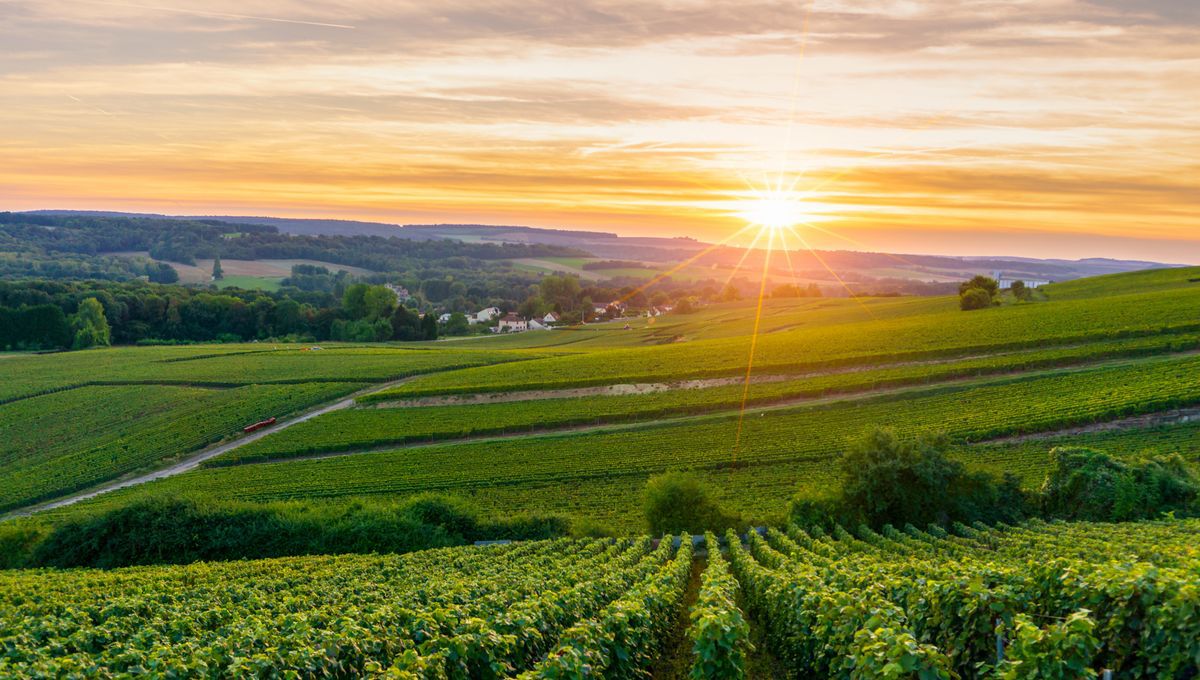 Association régionale Champagne Ardenne