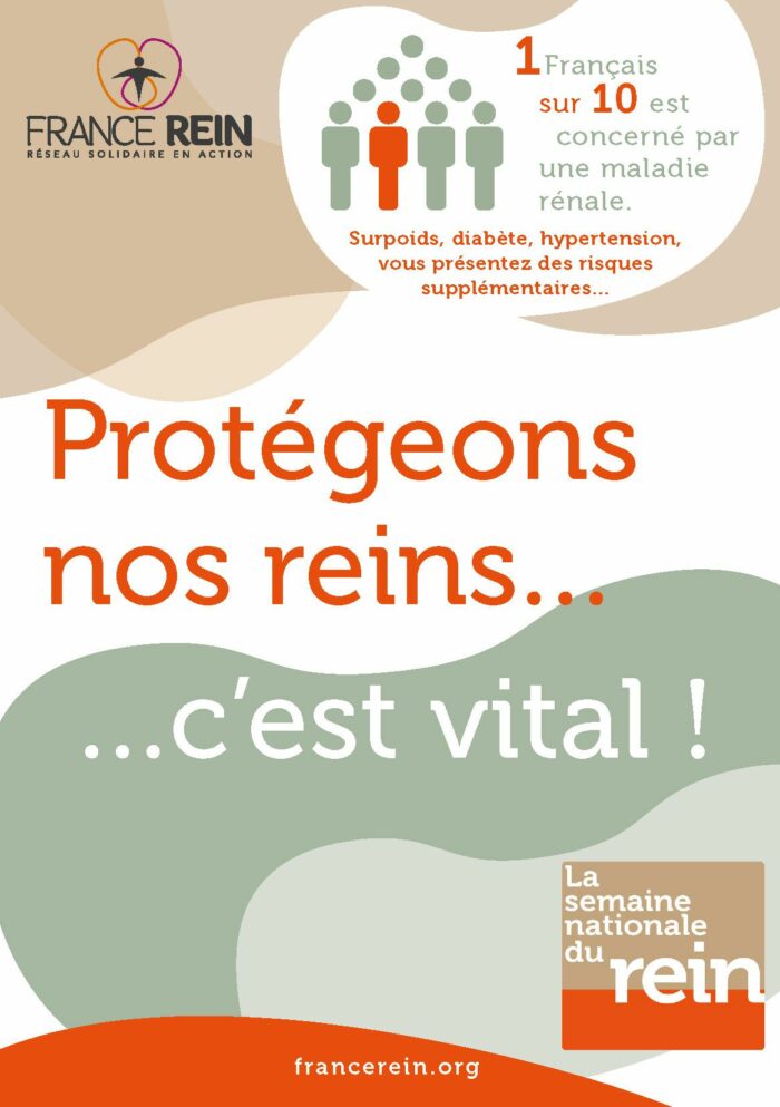 Dépliant : Protégeons nos reins... c'est vital !