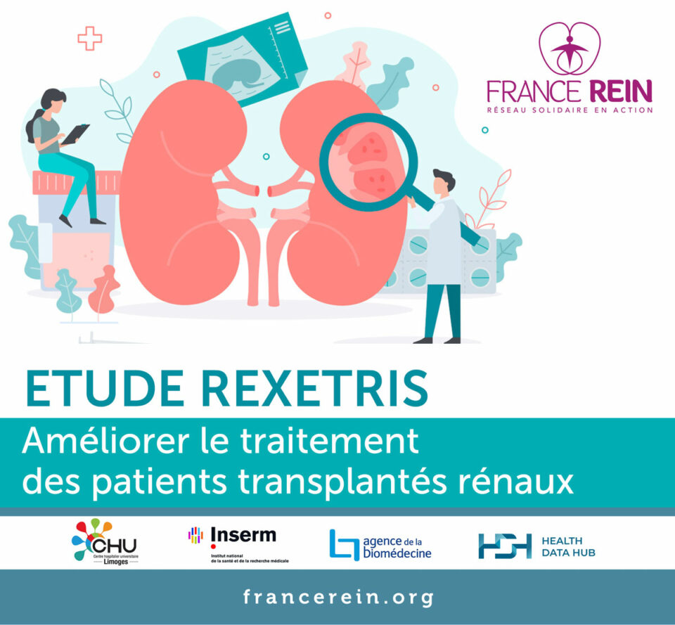 Actu France Rein Etude REXETRIS