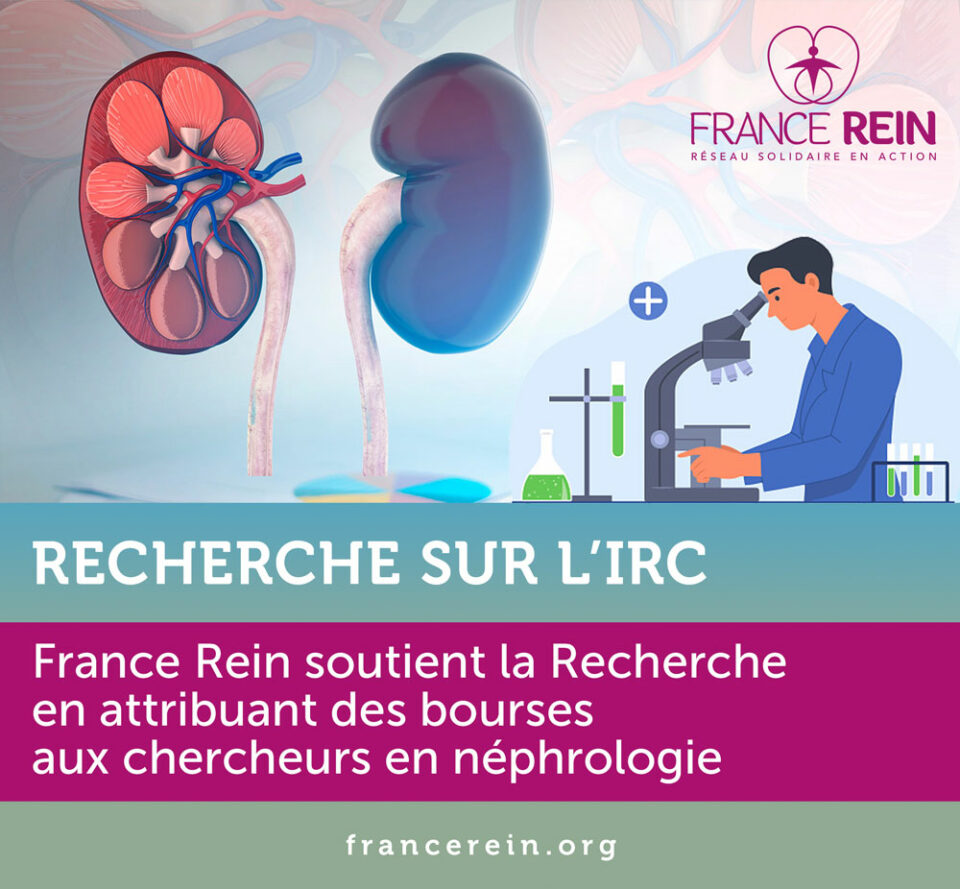 Recherche sur l'IRC - France Rein soutien la Recherche en attribuant des bourses aux chercheurs en néphrologie