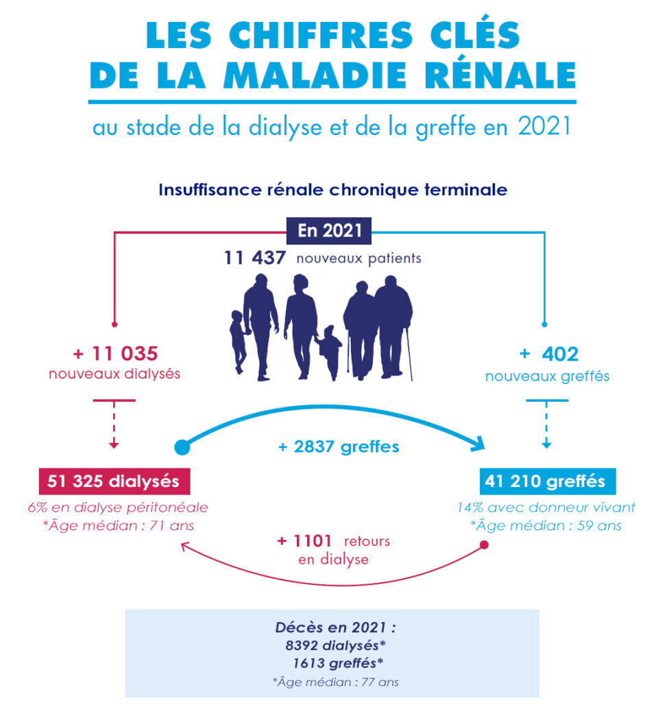 Chiffres clés maladie rénale en France - Rapport du Registre REIN 2021