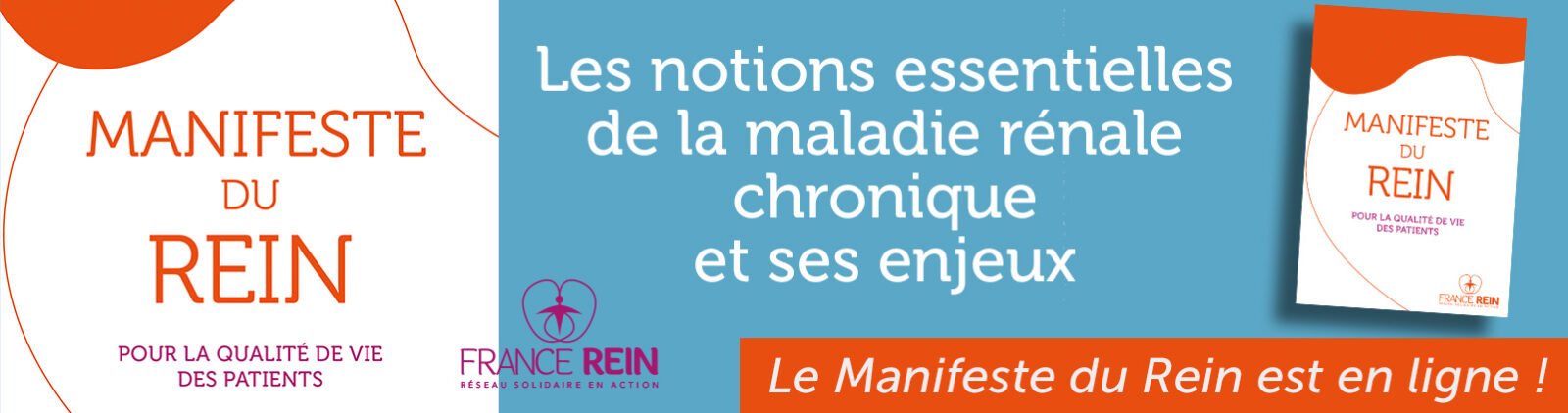 Manifeste de Rein de France Rein