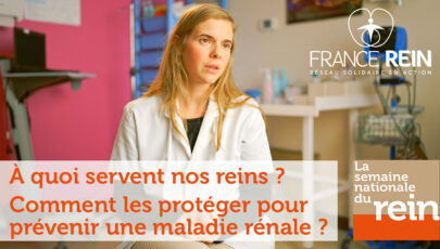 A quoi servent nos reins ? Comment les protéger pour prévenir une maladie rénale ?