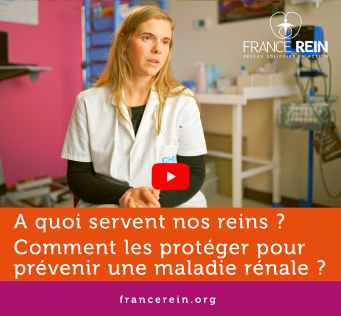 A quoi servent nos reins ? Comment les protéger pour prévenir une maladie rénale ?