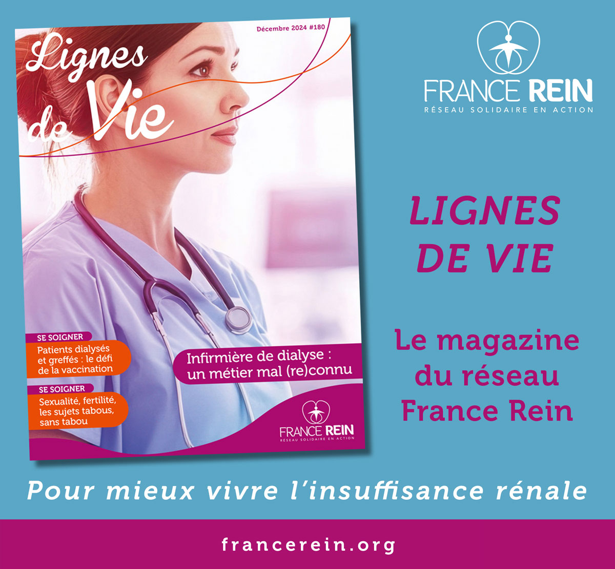 Autocollants Ligne De Vie Kawasaki – 2 Stickers, 19x210 Mm, Choix De Couleur (noir, Rouge, Blanc, Etc.)