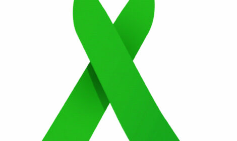 Le ruban vert symbole du don d'organes