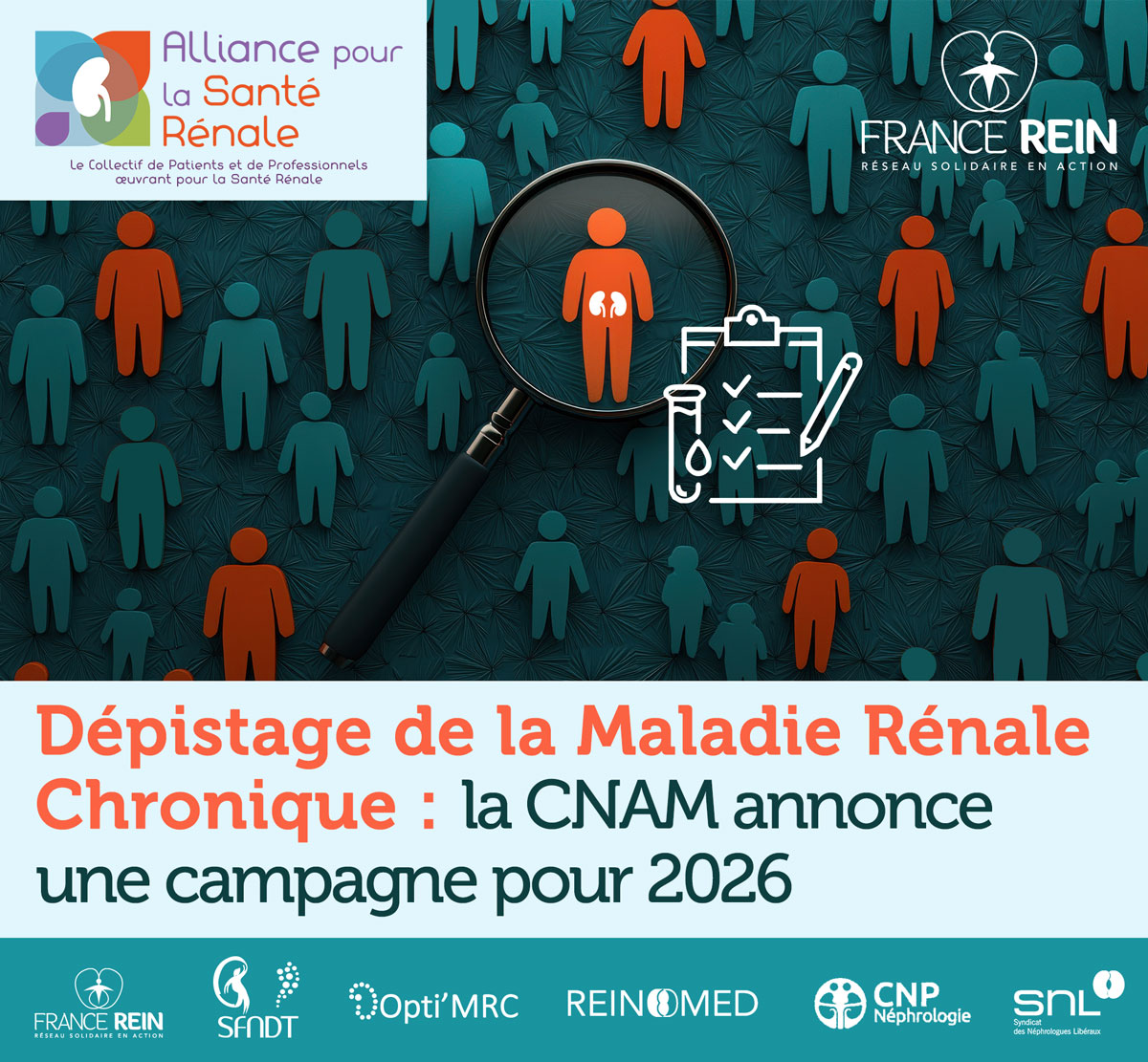 Dépistage de la maladie rénale chronique : la CNAM annonce une campagne pour 2026