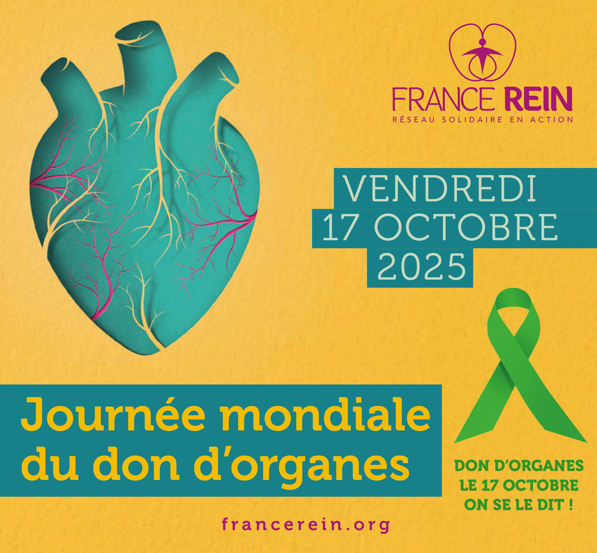 Vendredi 17 octobre 2025 - Journée mondiale du don d'organes - Don d'organes, le 17 octobre, on se le dit !
