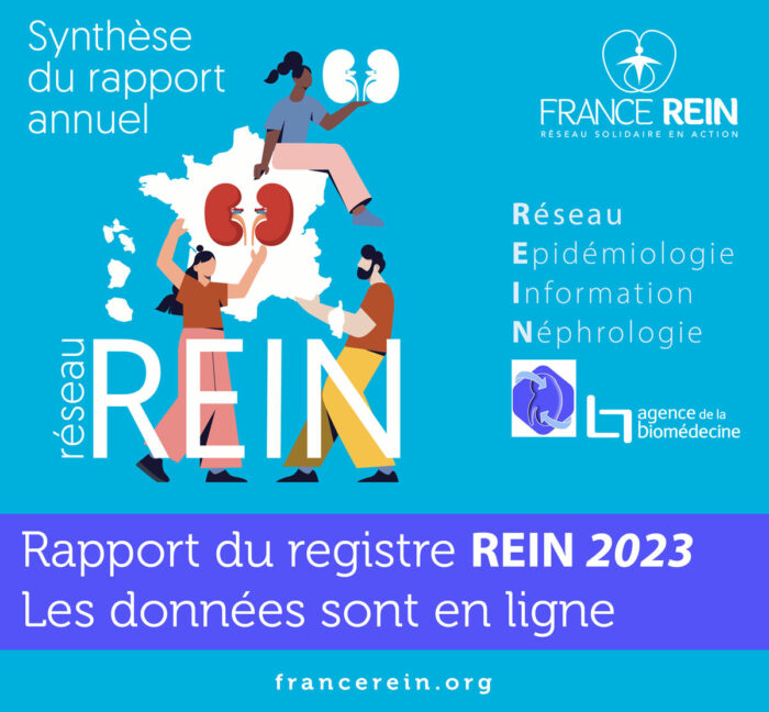 Synthèse 2023 du rapport annuel du réseau REIN. Les données sont en ligne.