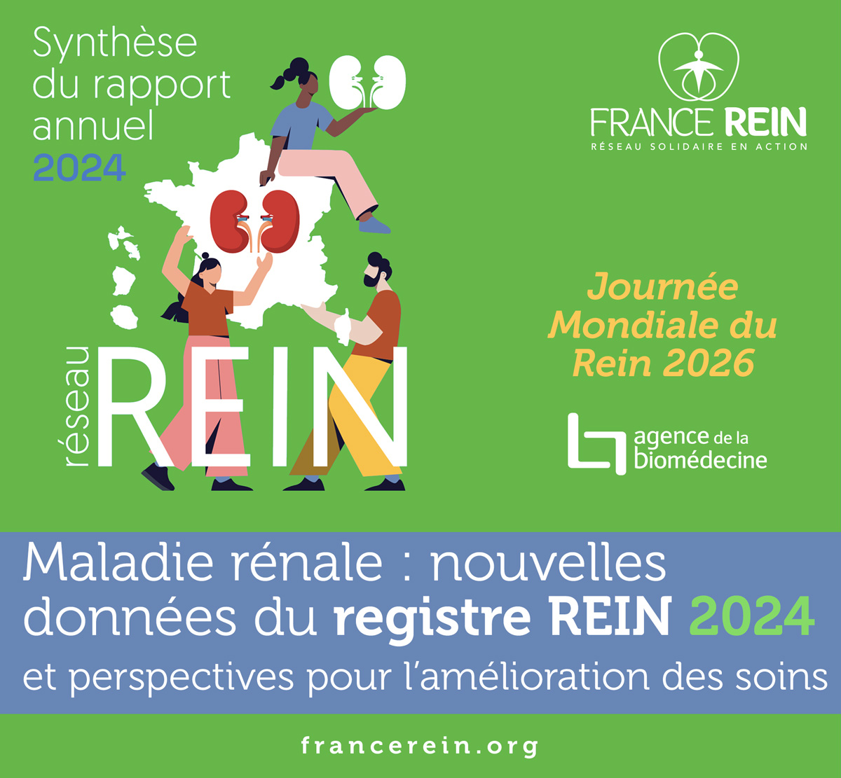 Synthèse 2024 du rapport REIN annuel - Maladie rénale : nouvelles données du registre REIN 2024 et perspectives pour l'amélioration des soins