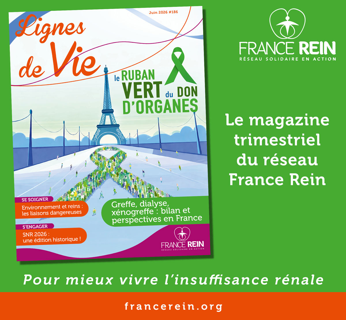 La magazine Lignes de Vie n°186 de juin 2026. Le magazine trimestriel du réseau France Rein. Pour mieux vivre l'insuffisance rénale.