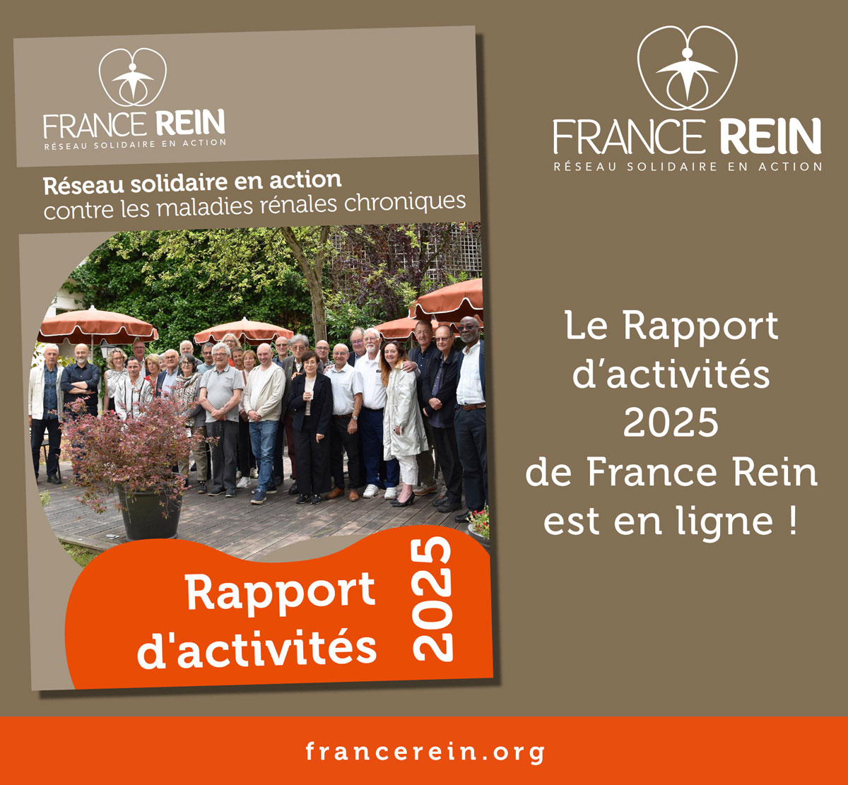 Le Rapport d'Activités de France Rein est en ligne !