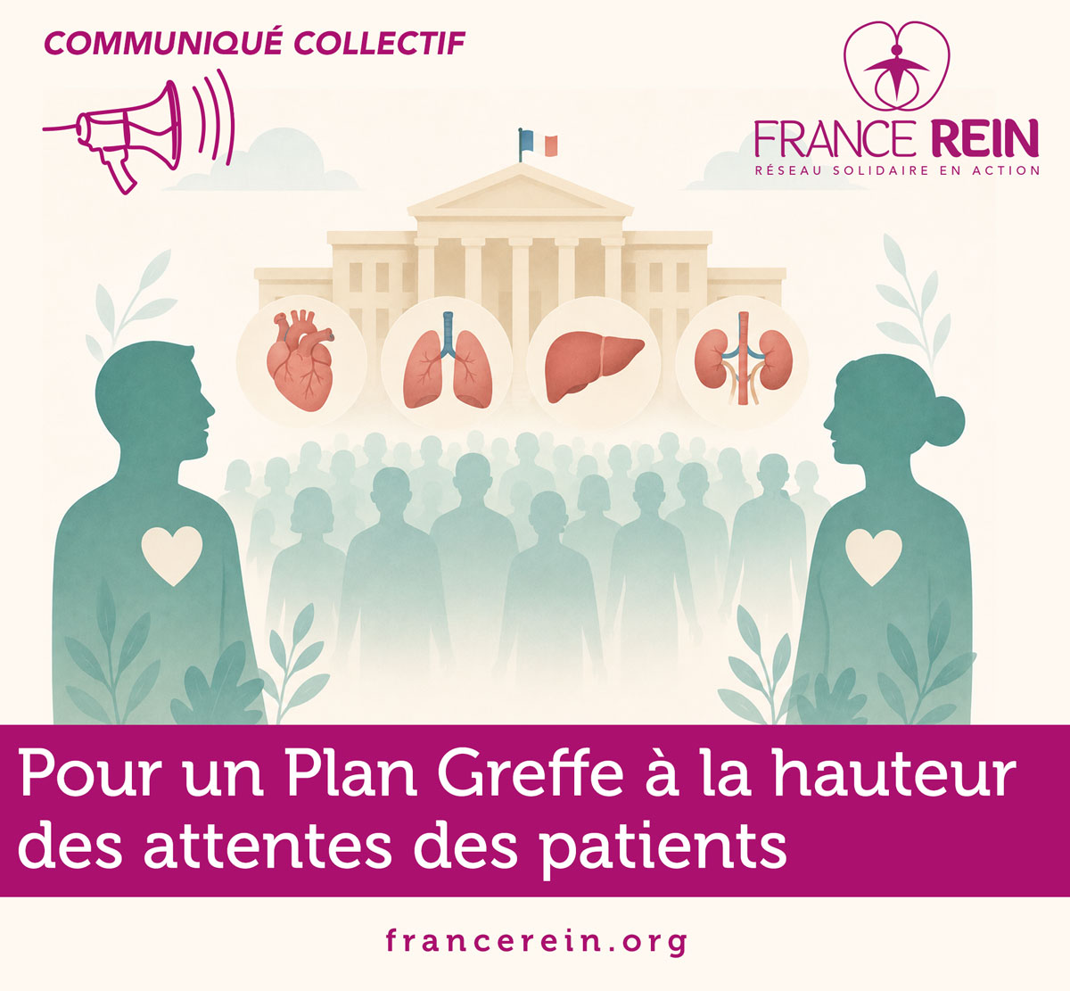 Pour un plan greffe à la hauteur des attentes des patients