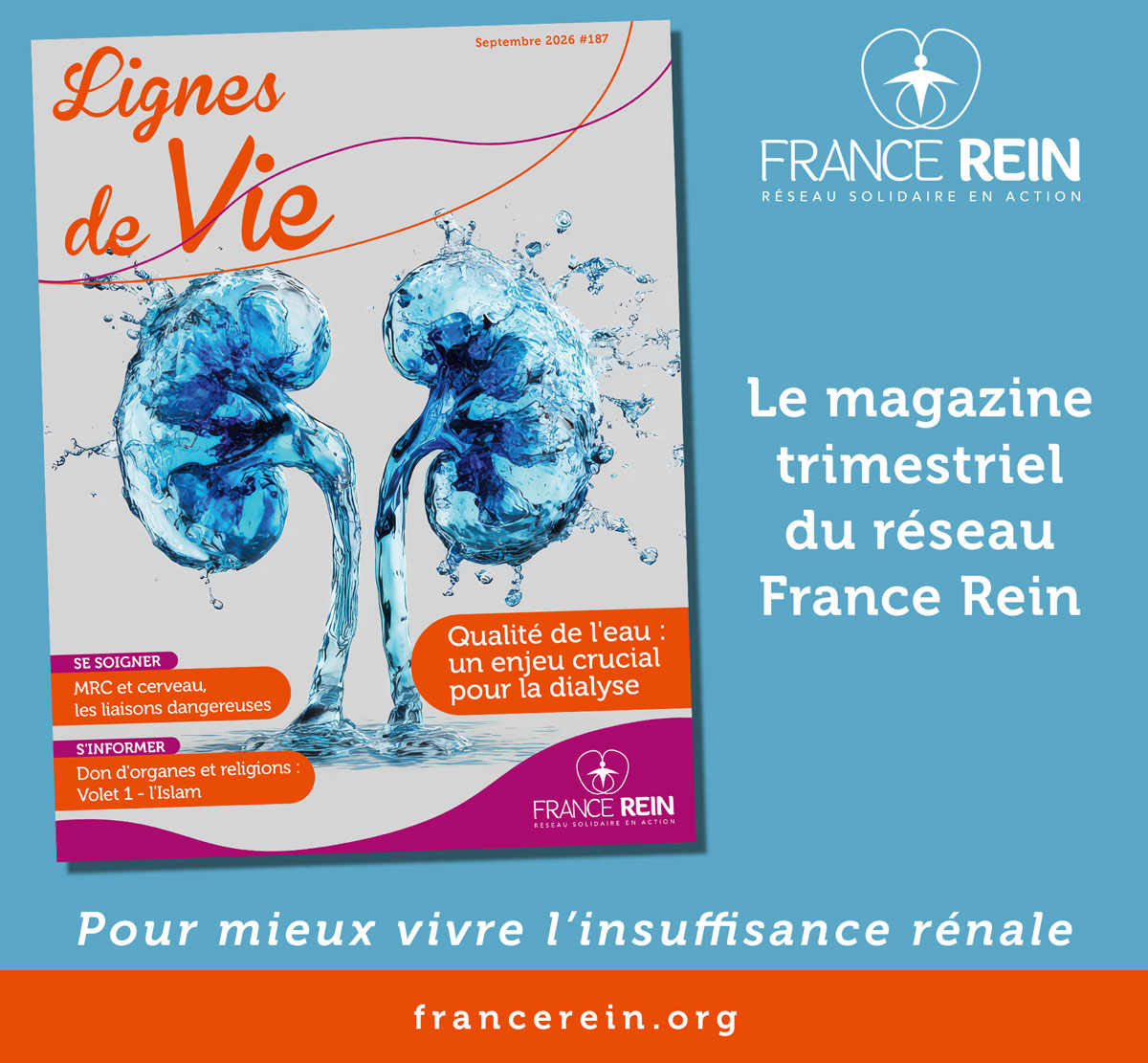 Lignes de Vie. Le magazine trimestriel du réseau France Rein. Pour mieux vivre l'insuffisance rénale