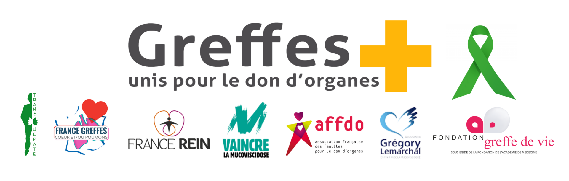 Frise des logos des associations membres du collectif Greffes+