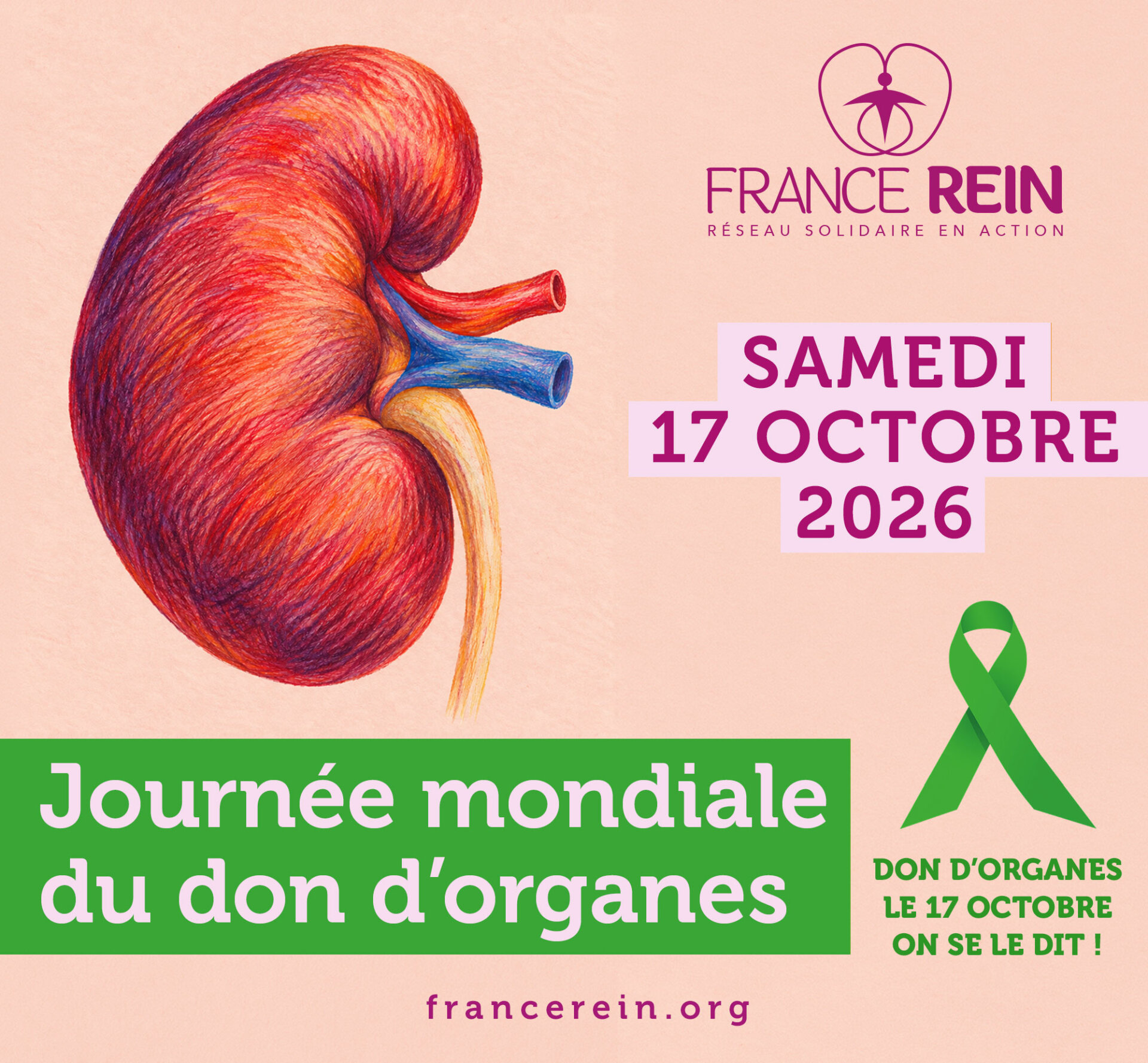 Samedi 17 octobre 2026 - Journée mondiale du don d'organes - Don d'organes, le 17 octobre, on se le dit !