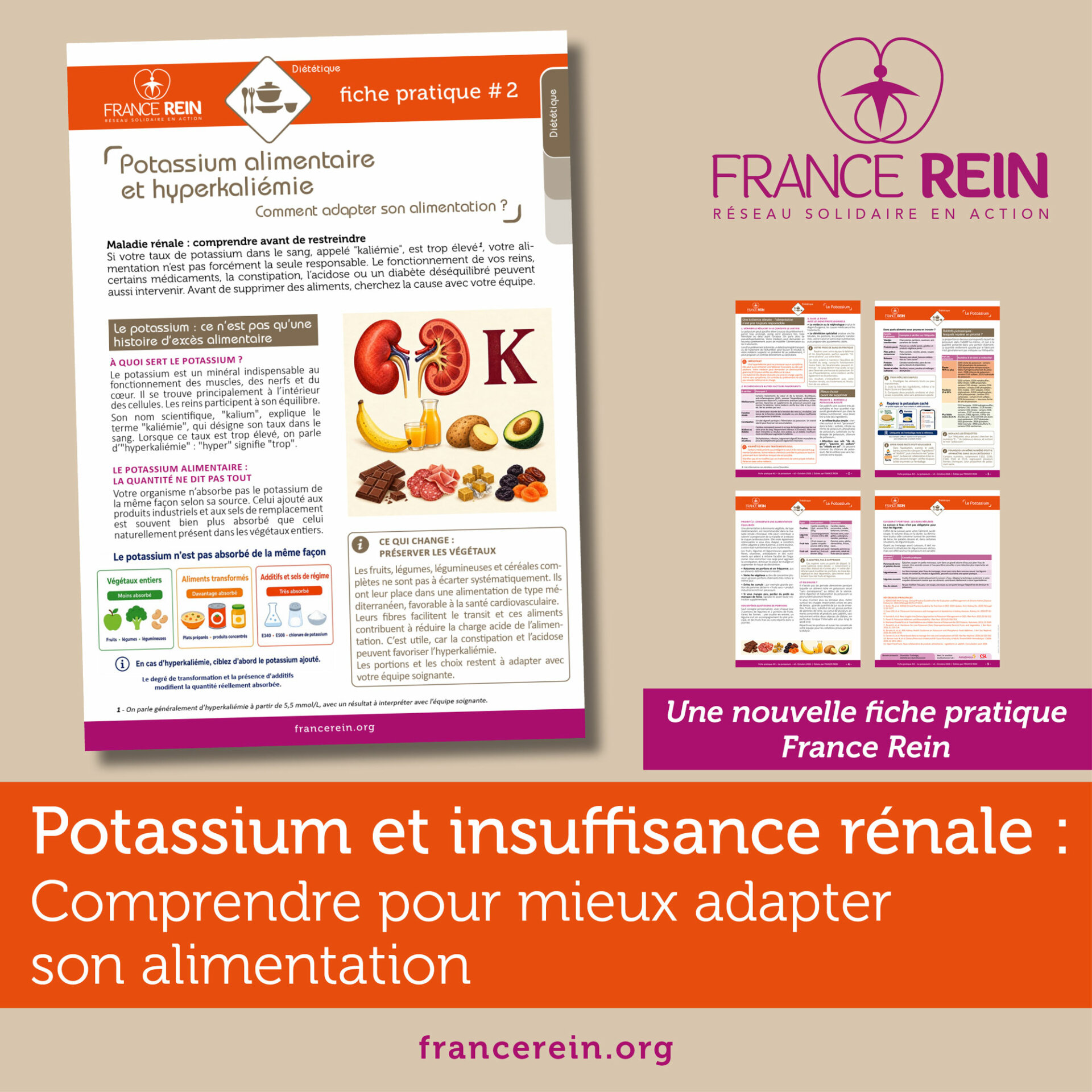 Potassium et insuffisance rénale : comprendre pour mieux adapter son alimentation. Une nouvelle fiche pratique France Rein