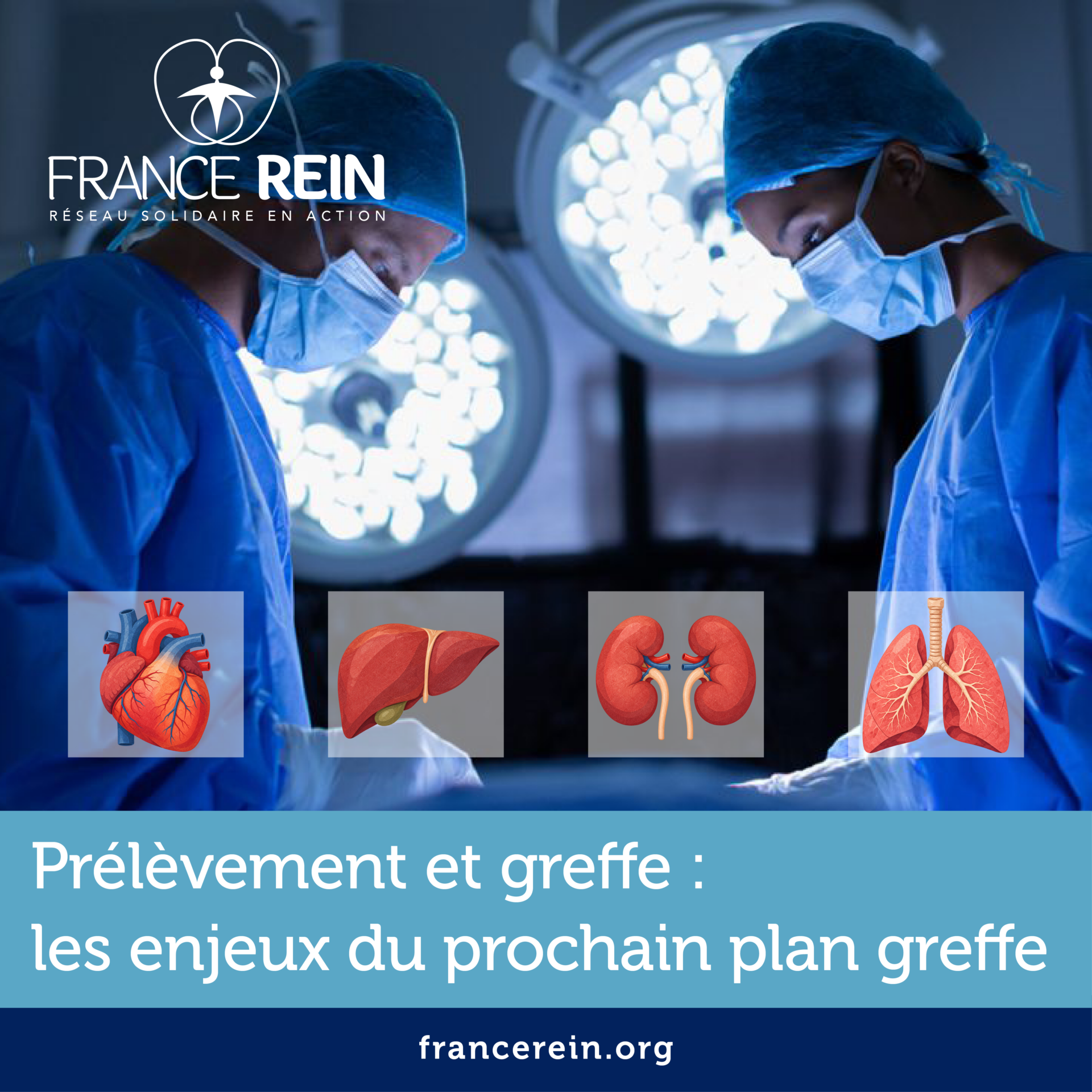 Prelevement et greffe - les enjeux du prochain plan greffe
